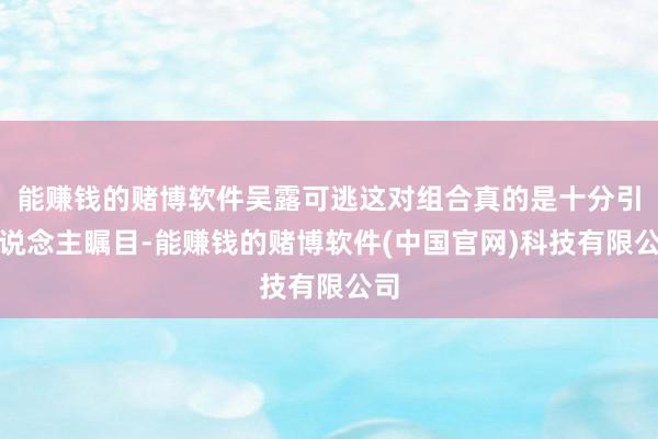 能赚钱的赌博软件吴露可逃这对组合真的是十分引东说念主瞩目-能赚钱的赌博软件(中国官网)科技有限公司