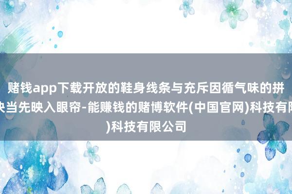 赌钱app下载开放的鞋身线条与充斥因循气味的拼接色块当先映入眼帘-能赚钱的赌博软件(中国官网)科技有限公司