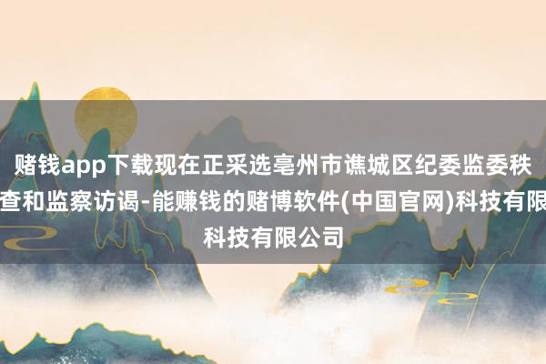 赌钱app下载现在正采选亳州市谯城区纪委监委秩序审查和监察访谒-能赚钱的赌博软件(中国官网)科技有限公司