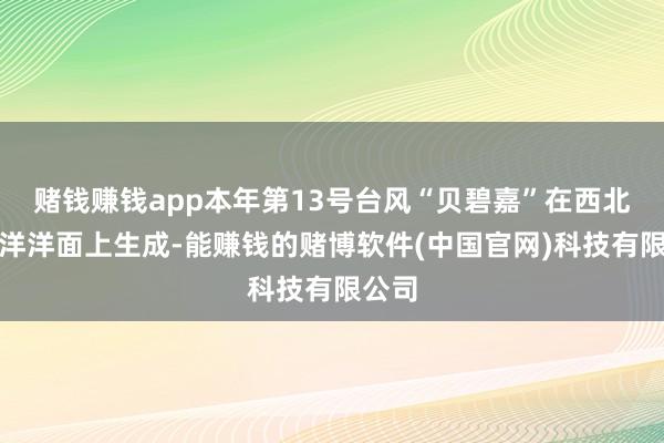 赌钱赚钱app本年第13号台风“贝碧嘉”在西北太平洋洋面上生成-能赚钱的赌博软件(中国官网)科技有限公司