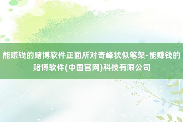 能赚钱的赌博软件正面所对奇峰状似笔架-能赚钱的赌博软件(中国官网)科技有限公司