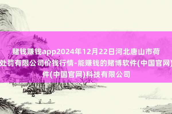 赌钱赚钱app2024年12月22日河北唐山市荷花坑阛阓指标处罚有限公司价钱行情-能赚钱的赌博软件(中国官网)科技有限公司